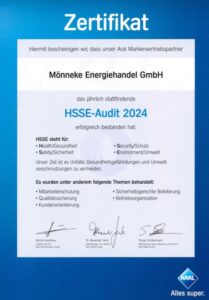 Aral HSSE-Audit 2024