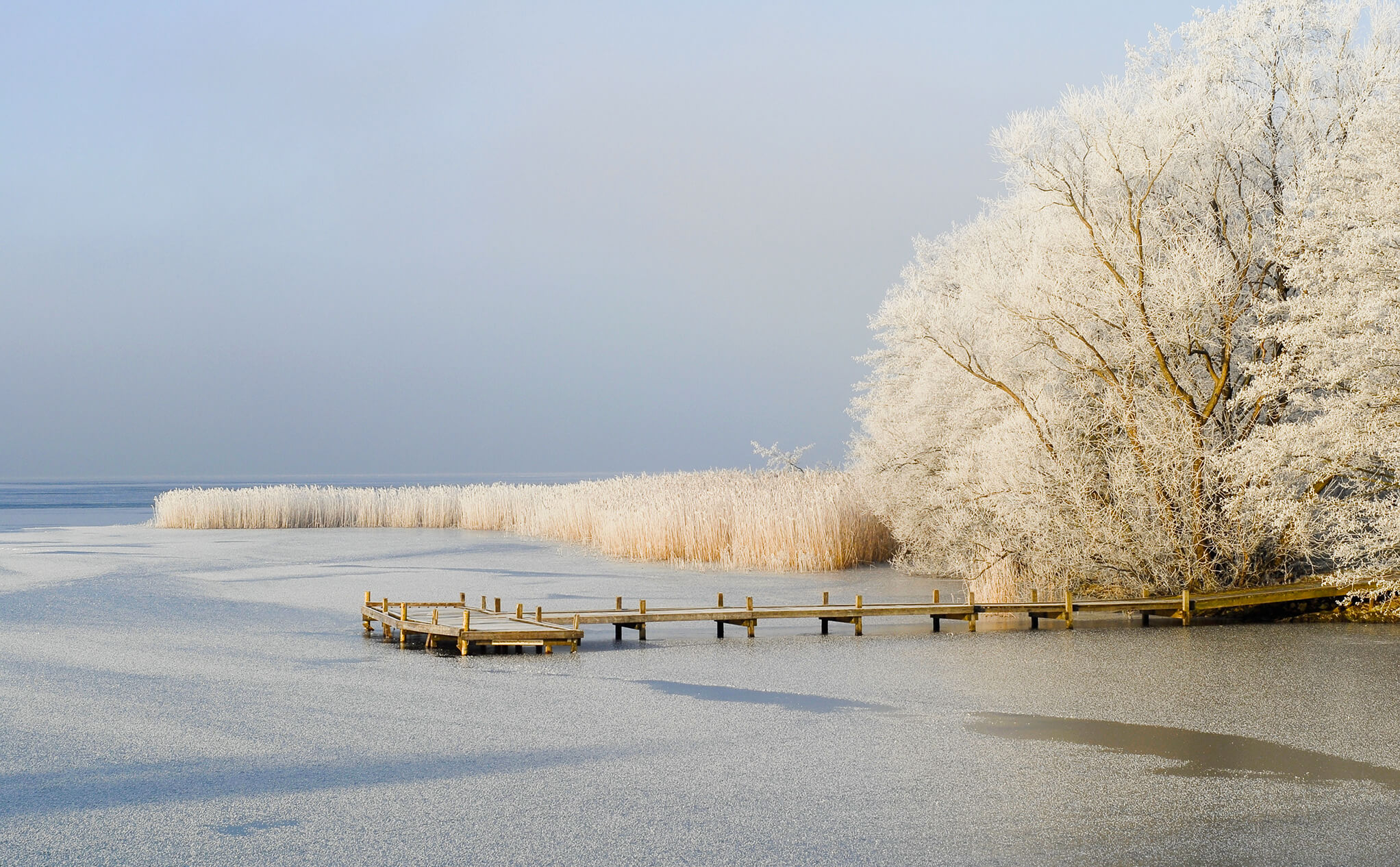 Header Winter